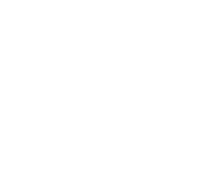 Национальные проекты России